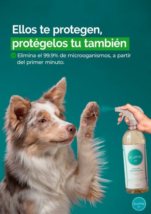 Desinfectante de Superficies (750ml) - Imagen 3