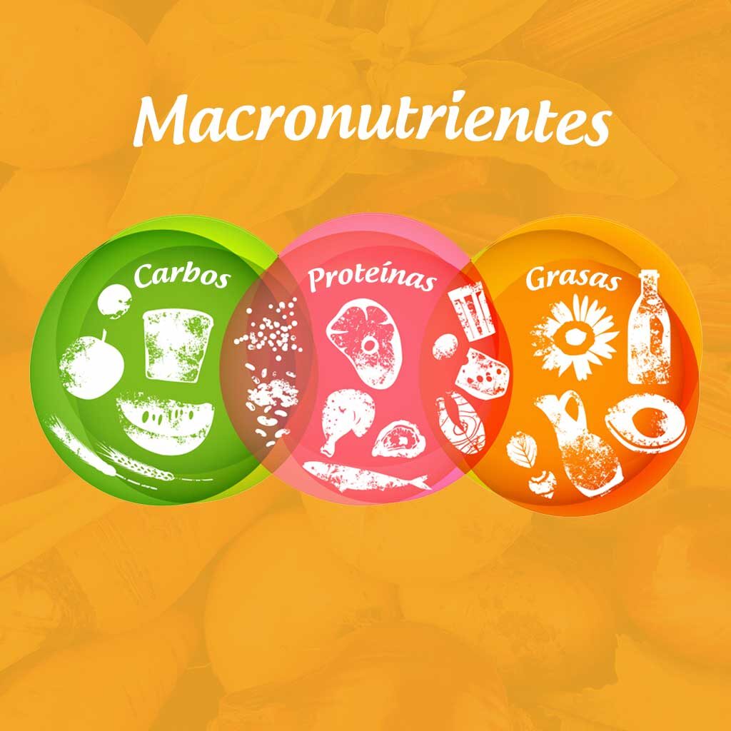 Portada blog macros