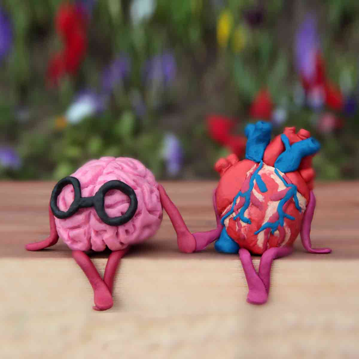 Magnesio blog 3