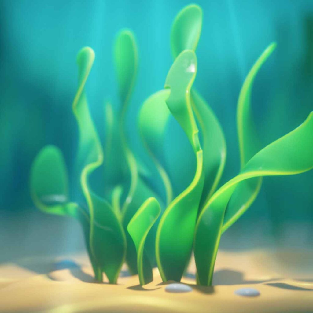 Portada Spirulina 2