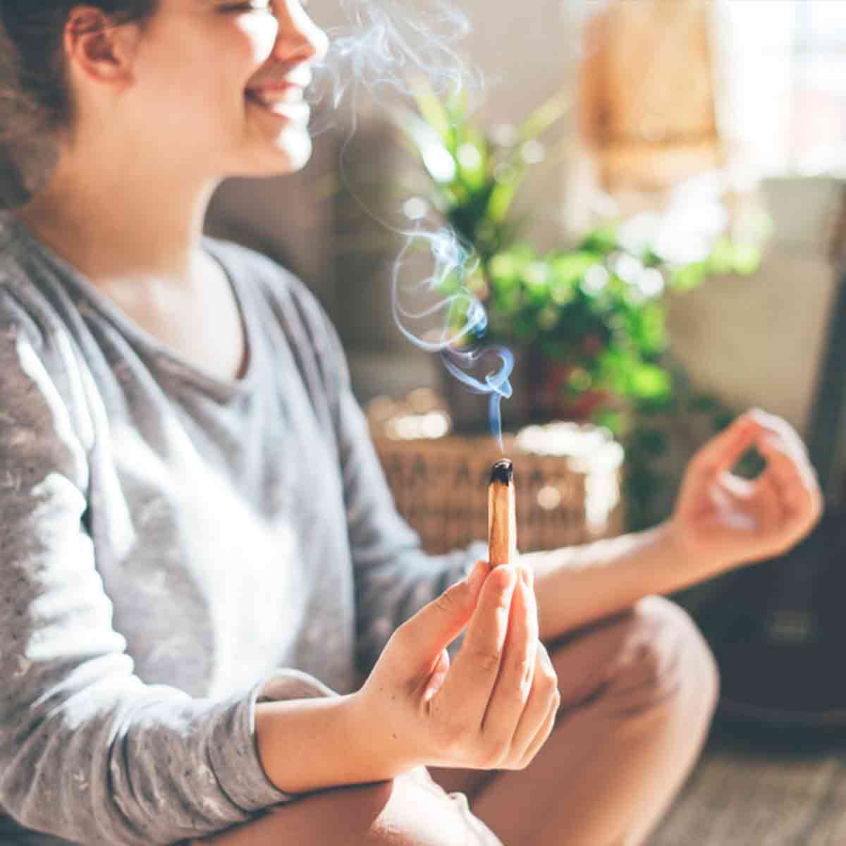5 Palo Santo