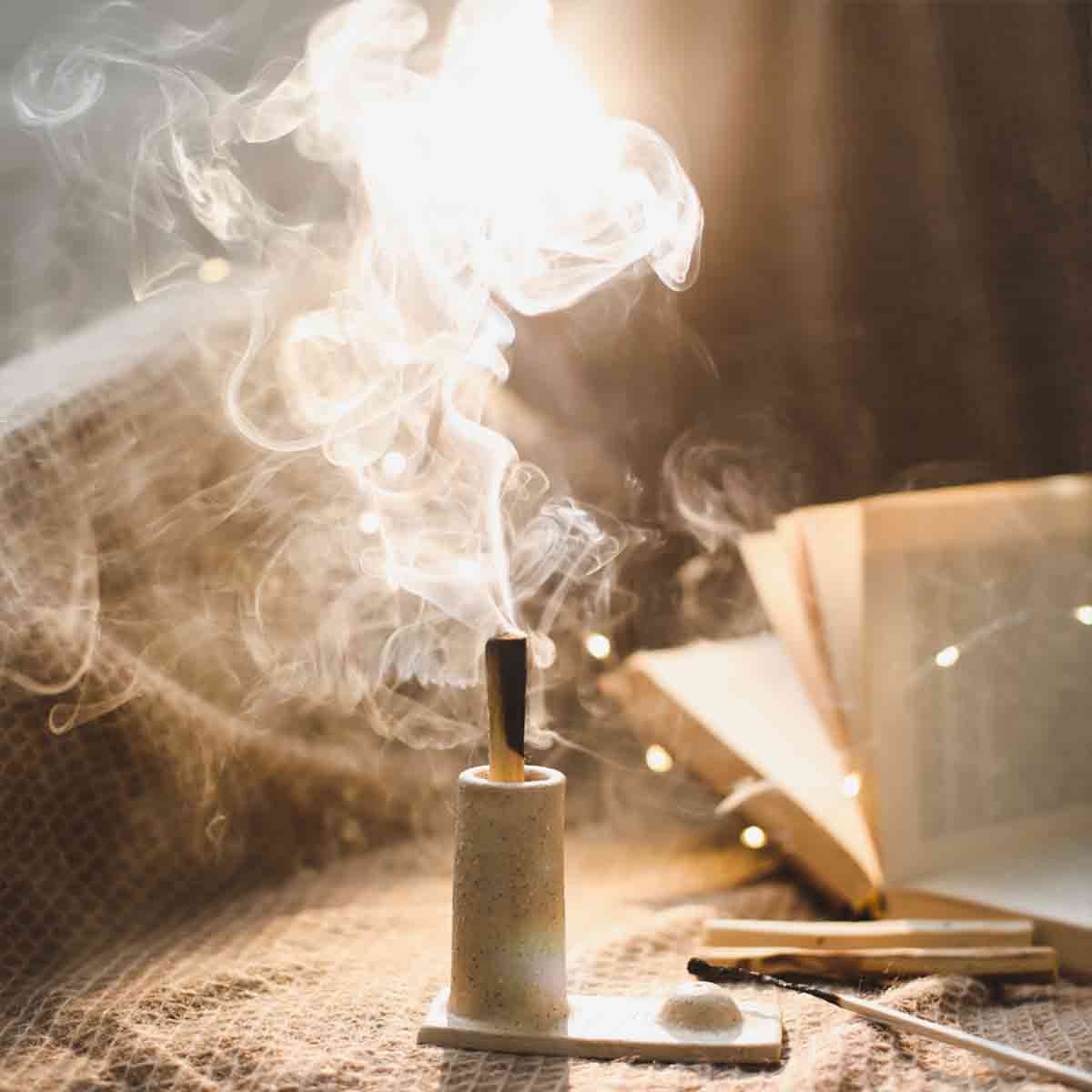 6 Palo Santo