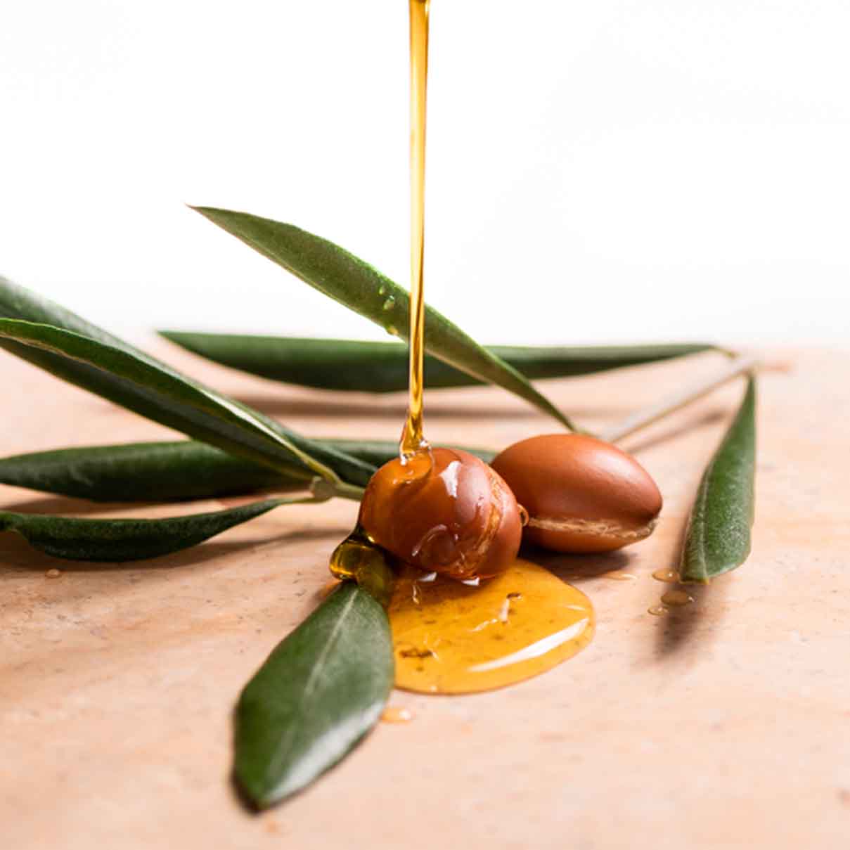 Aceite argán planta