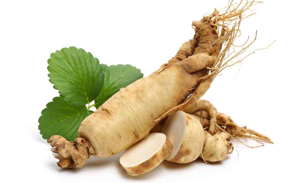 ginseng energía