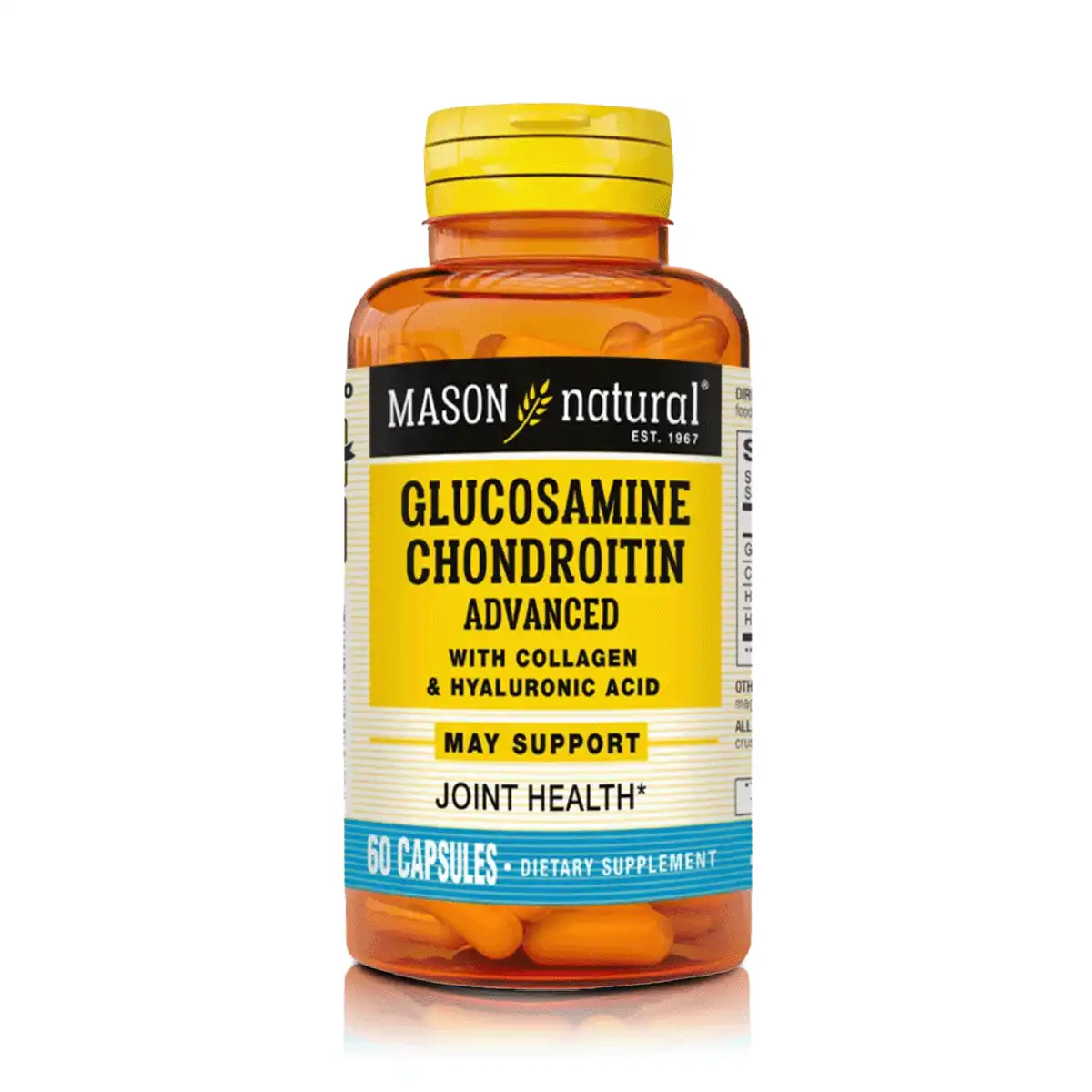 Glucosamina Chondroitin
